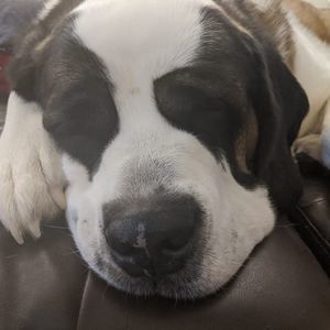 Meet your Posher, Bethany